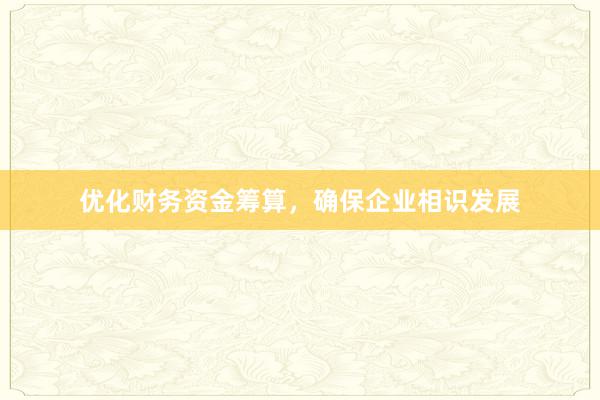 优化财务资金筹算，确保企业相识发展