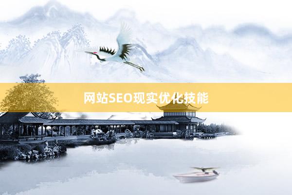 网站SEO现实优化技能