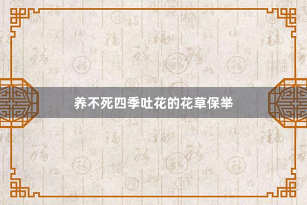 养不死四季吐花的花草保举