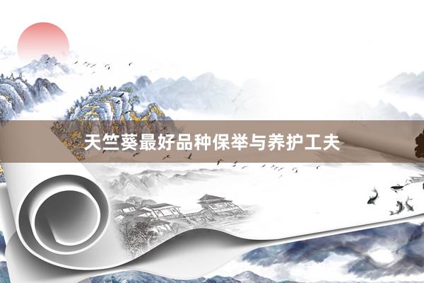天竺葵最好品种保举与养护工夫